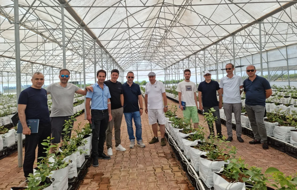 Antalya serik'de Mavi yemiş Blu berry Yetiştirilmesi Ön Araştırması Çalışmaları