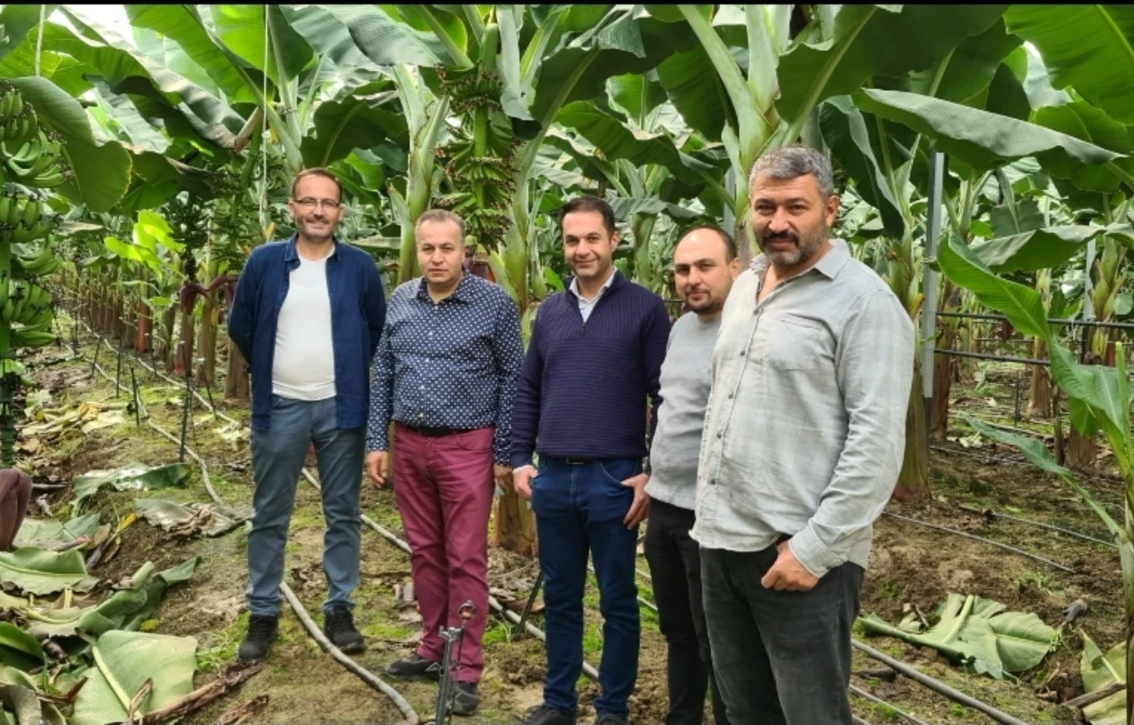 DİDER Toplu Sera Proje Görüşmeleri