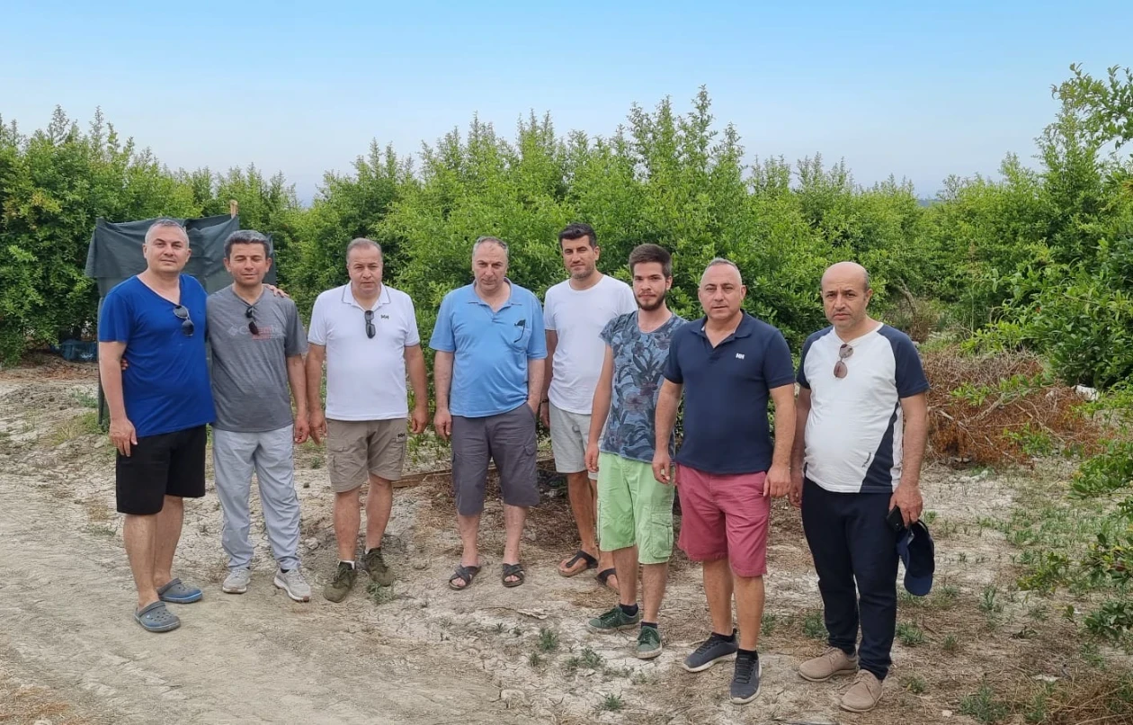 Dider üyemize ait Nar bahçemiz